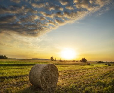 Bir yaz sabahının erken saatlerinde şafak vakti saman balyalarıyla tarlalar. Panoramik fotoğraf dikey.