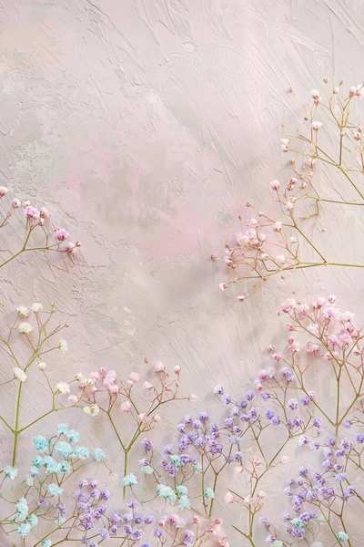 Delicate branches with small multi-colored gypsorphila flowers on a delicate pink background with a putty effect. Floral background.