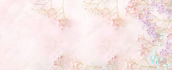 Delicate Floral background. branches with small multi-colored gypsorphila flowers on a delicate pink background. top view flat lay. Banner.