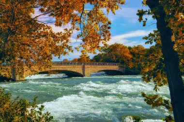 Niagara Nehri manzarası ve sonbahar ağaçlarının dalları arasındaki yaya köprüsü. ABD. Niagara Şelalesi yakınına park et..