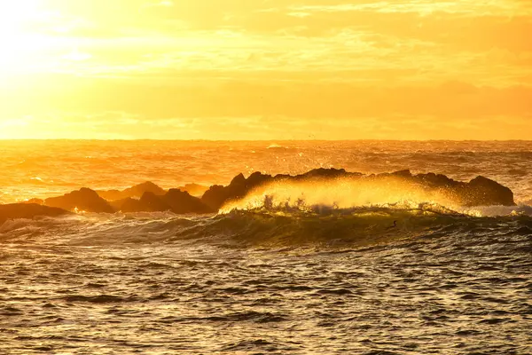 A wave in the golden light of the dawn sun among the rocks. The coast of the Atlantic Ocean at dawn.