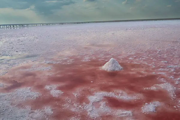 バラの水と塩が付いている塩湖 晴れた日の塩湖の壮大な風景 ストック写真