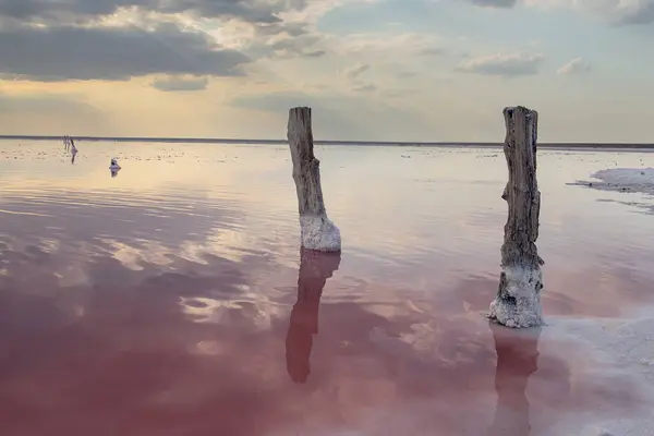 Pink lake with healing pink salt and mud. Old wooden posts in salt left over from salt mining. Beautiful reflection of clouds in the pink water of a lake on a sunny day.
