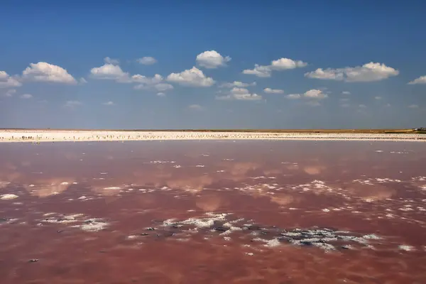 Pink lake with healing pink salt and mud.. Beautiful reflection of clouds in the pink water of a lake on a sunny day.