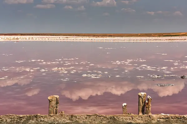 Pink lake with healing pink salt and mud. Old wooden posts in salt left over from salt mining. Beautiful reflection of clouds in the pink water of a lake on a sunny day.
