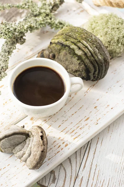 Mushroom coffee chaga superfood. Dried mushrooms and and a cup of coffee. Healthy organic energizing adaptogen, endurance boosting food trends.