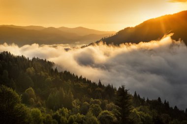 Dağlarda inanılmaz güzel bir gün doğumu. Siste kozalaklı ağaçlar ve şafakta dağların siluetleri ve yeşil dağların yamaçları arasında vadide sis..