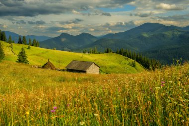 Dağlarda çiçek açan bir çayırda eski bir ahşap ahır ve bir saman yığını. Yaz dağı manzarası