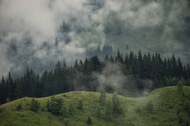 Ladin ormanlarında yeşil dağlar ve sisli bulutlar. Minimalist manzara. İskandinav tarzı.