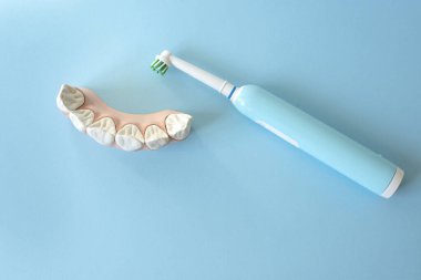 Mavi arkaplanda dişleri olan elektrikli diş fırçası ve çene modeli