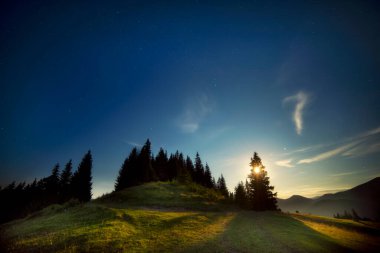Dağların yeşil yamaçlarında, ormanda dolunay olan mistik gece manzarası. Ay yeşil tepeleri aydınlatıyor köknar ağaçlarının tepelerinden
