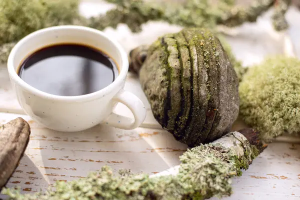 haga mushroom. Mushroom coffee chaga superfood. Dried mushrooms and and a cup of coffee. Healthy organic energizing adaptogen, endurance boosting food ...