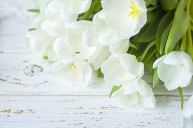 Tahta beyaz arka planda beyaz lale çiçekleri..