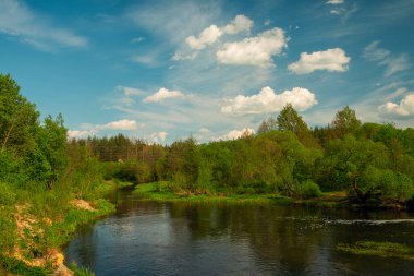  Güzel bahar ormanı gölü manzarası