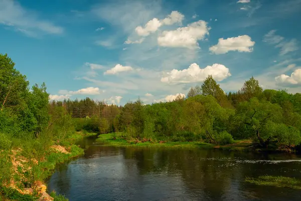  Güzel bahar ormanı gölü manzarası