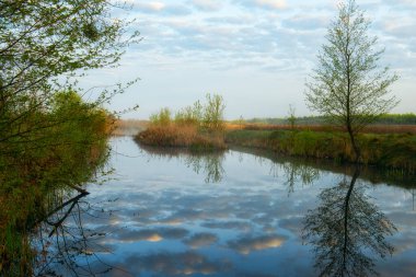 Bahar Nehri. Sudaki bulutların yansıması.