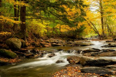 Taşların arasında çağlayan bir nehrin olduğu sonbahar ormanı. Uzun pozlama.