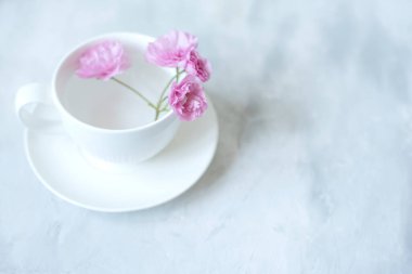 Beyaz porselen bardak ve çay tabağı. Su ve pembe sakura çiçekleri. Açık gri arka planda macun etkisi var. Detayların minimalizmi. Solgun ton. yumuşak seçici odak
