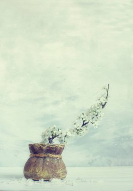 Yumuşak pastel arka planda kiraz ve sakura çiçekleri açan bir buket. Sanatsal fotoğraf. İç görüntü, duvar posteri, duvar sanatı.