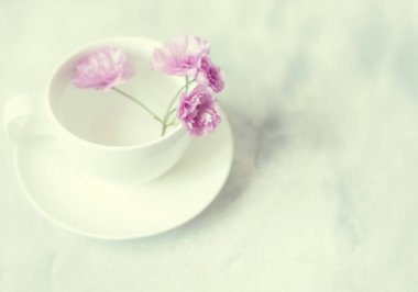 Beyaz porselen bardak ve çay tabağı. Su ve pembe sakura çiçekleri. Açık gri arka planda macun etkisi var. Solgun ton. yumuşak seçici odaklanma. Eski tarz. iç mekan için