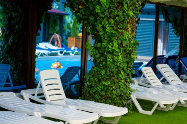 Havuz kenarında dinlenmek için rahat bir yer. Plastik güneş panelleri ve bir sürü yeşil bitki..