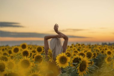 Sarışın bir kız gün batımında sırtı ayçiçeği tarlasında duruyor. Çıplak sırtı ve bedeni ayçiçekleriyle kaplı ve elleri havada..