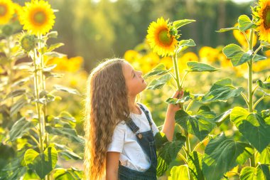 Sıcak ve güneşli bir yaz gününde, ayçiçeklerinin arasında uzun saçlı tatlı bir kız.