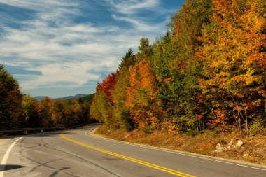 Dağlardaki renkli sonbahar ormanları arasındaki dar yol. Güneşli bir gün.