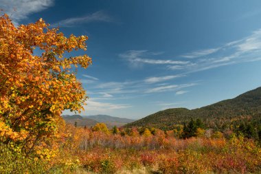 Sonbahar manzarası. Güneşli bir günde kozalaklı ormanlarla kaplı renkli dağlar. New Hampshire ABD.