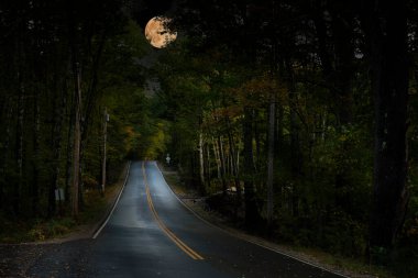 Dolunayın aydınlattığı karanlık bir ormanda dar bir yol. Muhteşem bir gece fantastik fotoğrafı..
