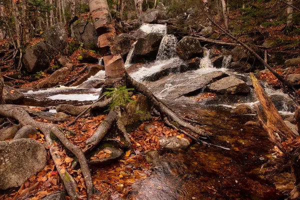 stock image cascade waterfall in the autumn forest, fallen yellow leaves on stones. Gloomy autumn landscape.