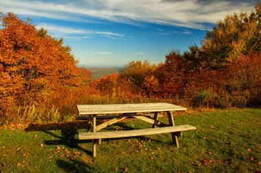 Ahşap masa ve sonbahar dağları manzaralı bir çayır tezgahı. Vermont. ABD..