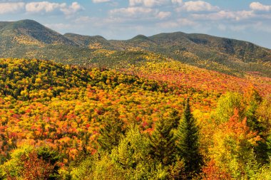Tepe dağları güneşli bir günde yoğun renkli sonbahar ormanlarıyla kaplıdır. Güzel bir sonbahar manzarası ve uzaklardan manzarası var..