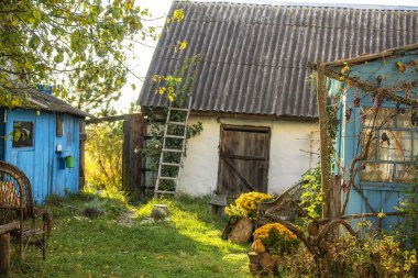  Eski hasır sandalyeleri, eski bir ahırı ve kasımpatı çiçekleri olan basit bir kır evi.