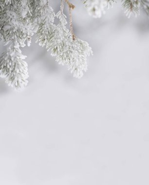 Beyaz buza bürünmüş ladin dalları, hafif, doğal bir kış arka planında. Boş alan. Dikey pankart