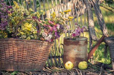 Bahçedeki hasır koltukta paslı bir bahçe sulama tenekesinde çok renkli kermeke limonyum çiçekleri ve olgun elmalar.. 