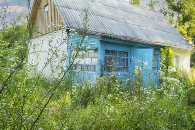 Yaban çiçeği çalılıklarında mavi verandası olan şirin kır evi.