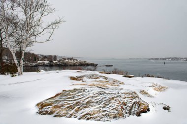 Atlantik Okyanusu 'nun kış manzarası. Karda kayalık bir sahil. ABD. Maine.