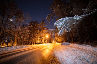Karla kaplı dev köknar ağaçları arasında fenerlerin ışığıyla sokakta geçen kış yolu.. 