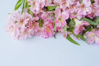 Hafif arka planda narin pembe alstroemeria çiçekleri. İlkbahar, Paskalya arkaplanı. Üst Manzara. Boşluğu kopyala 