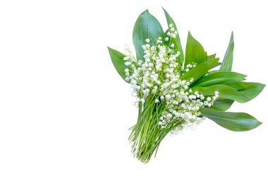 Bir buket bahar çiçeği vadideki zambaklar. Beyaz arkaplanda izole. 