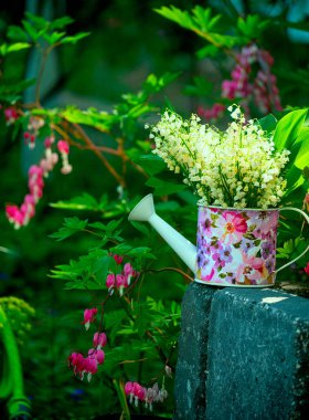 Bahar çiçeklerinden bir buket çiçekli vadi bahçedeki sulama tenekesinde çiçek açan çiçeklerin arasında.