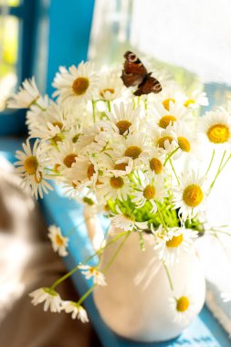 Güneşli yaz havası. Bir buket papatya ve eski bir ahşap pencerenin seramik sürahisinde bir kelebek. Yaz tatili için güzel, basit bir ortam.