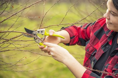 Bahçıvan kız, parlak sarı saplı makasıyla dalları buduyor. Bahar bahçesi bakımı, ağaç bakımı ve bitki budama konsepti. Yakın plan çekim, doğal arka plan..
