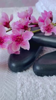 Siyah masaj taşları, pembe mum, beyaz havlu ve narin pembe çiçekleri olan çiçek açan bir bahar dalıyla kaplıca hayatı. Yumuşak bir rahatlama ve sağlığın atmosferi..