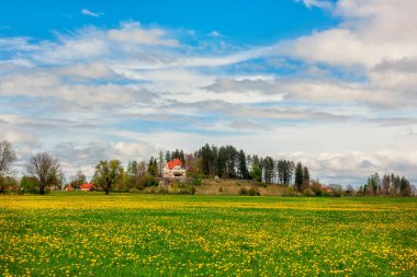 Çiçekli bir çayırı olan resmedilmiş bahar manzarası. Tepedeki küçük şirin ev. Bavyera.