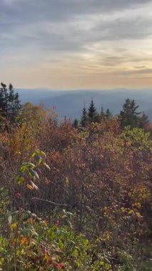 Sonbahar dağlarındaki bir manzaradan gün batımında dağ sıralarının tepelerine ve ormana bakın. - Vermont. ABD