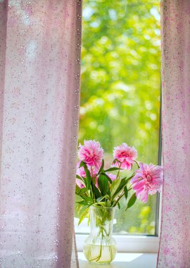  Pencere kenarındaki cam vazoda pembe şakayıklar. Çerçevelenmiş pembe perdeler. Güneşli bir gün, yeşil bahçe pencerenin dışında bulanıklaştı. Sıcak kırsal atmosfer, yumuşak doğal ışık.