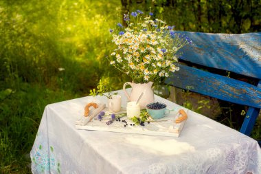 Doğal sütten yapılan taze ev yapımı yoğurt. Kırsal bir bahçe ortamında yabanmersinli yabanmersinlerle servis ediliyor. Organik sağlıklı kahvaltı. Doğal kırsal gıda konsepti.