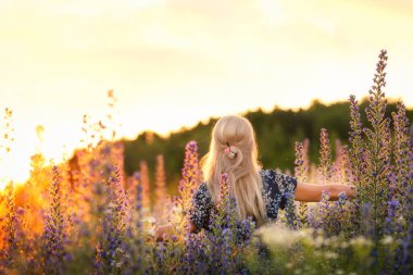 Sarışın bir kadının yaz elbisesi içinde gün batımında çiçek açan bir kır çiçeği tarlasından geçişi. Doğal ışık ve çiçek çayırı olan huzurlu kırsal alan. Özgürlük kavramı, doğayla uyum ve yavaş yaşam..